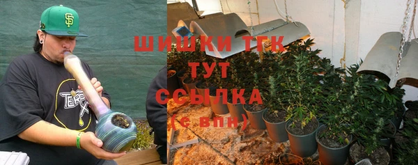 не бодяженный Бежецк