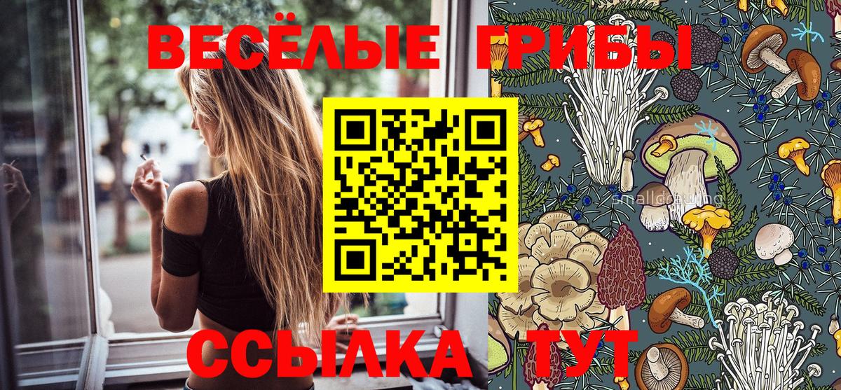 Галлюциногенные грибы ЛСД  Вход с VPN  Петропавловск-Камчатский  магазин    Галлюциногенные грибы Psilocybine cubensis 